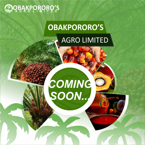 Farm-to-Table Journey